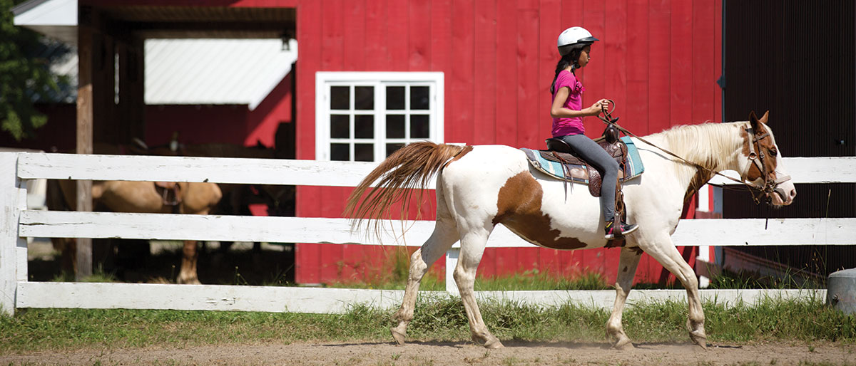 The Ontario Equestrian Federation - photo by Natalie Banaszak